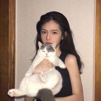 合成神龙2游戏入口下载
